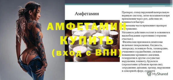 гашик Ладушкин
