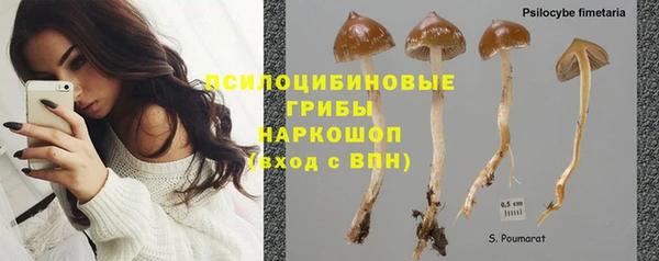 мет Магас