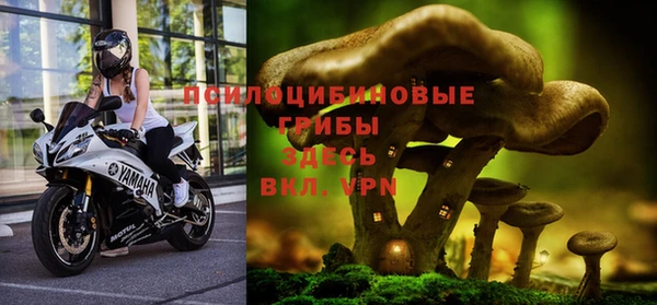 mdpv Рославль